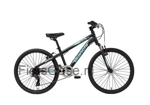 Bianchi Duel 20 specificaties